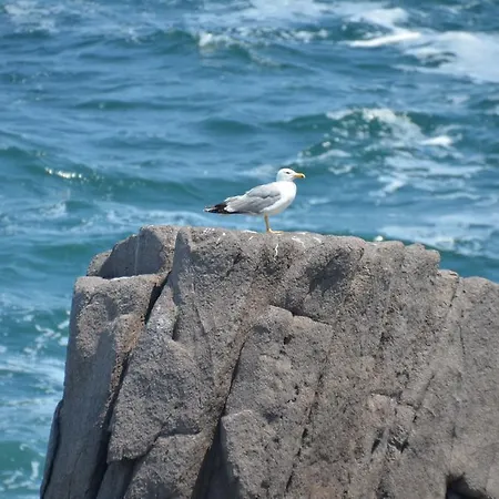 Casa de hóspedes Zapovedni Rai Primorsko