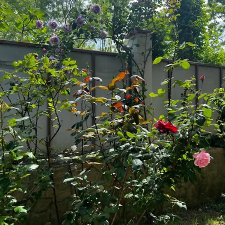 Zapovedni Rai Casa de hóspedes Primorsko