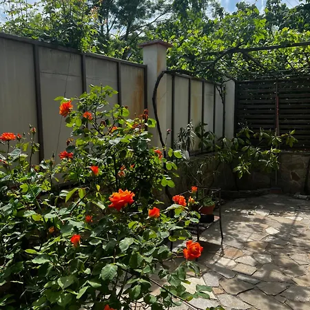 Casa de hóspedes Zapovedni Rai 4*