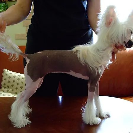 Casa de hóspedes Zapovedni Rai Primorsko