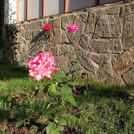 Gæstehus Zapovedni Rai