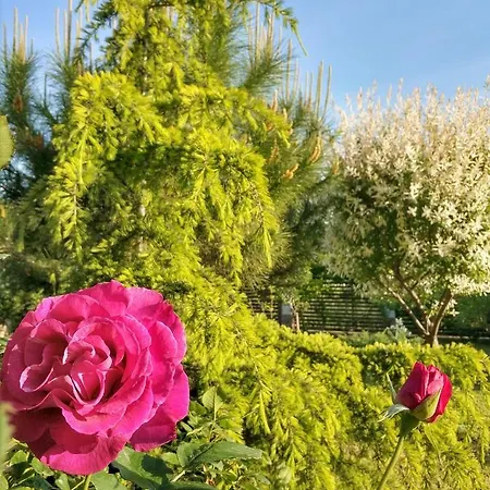 Casa de hóspedes Zapovedni Rai Primorsko