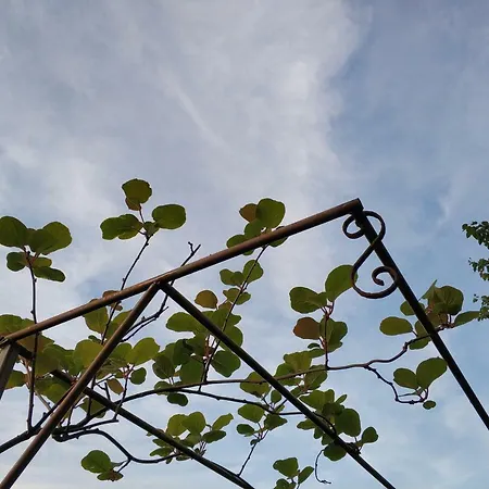 Gæstehus Zapovedni Rai Primorsko
