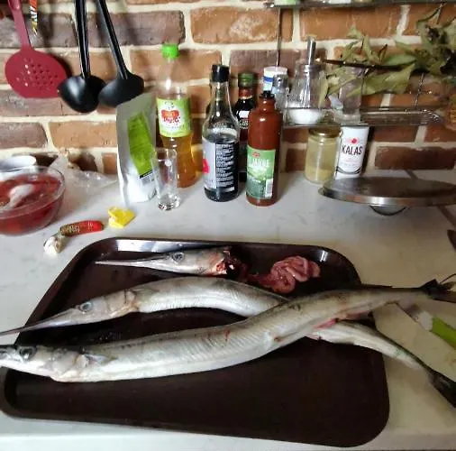 Гостевой дом Zapovedni Rai