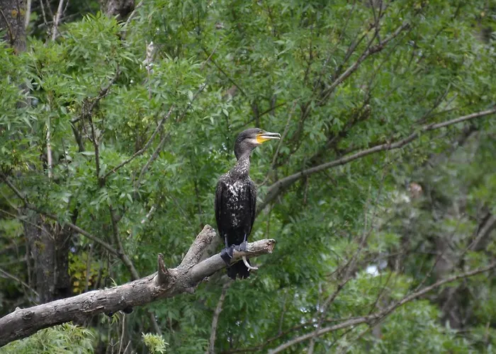 Гостевой дом Zapovedni Rai Приморско