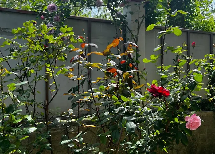 Zapovedni Rai Гостевой дом Приморско