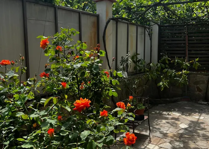 Гостевой дом Zapovedni Rai 4*