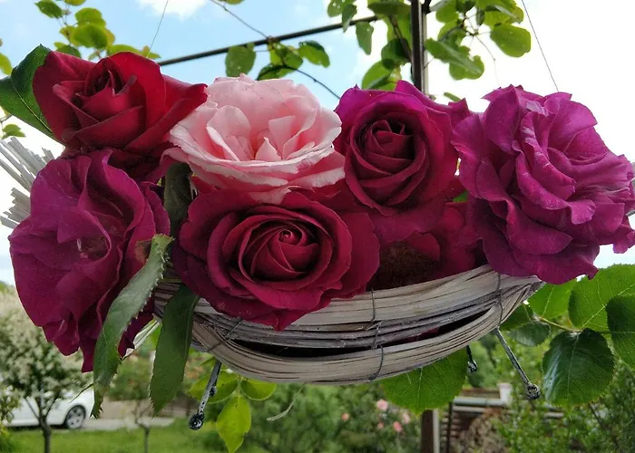 Zapovedni Rai Гостевой дом Приморско