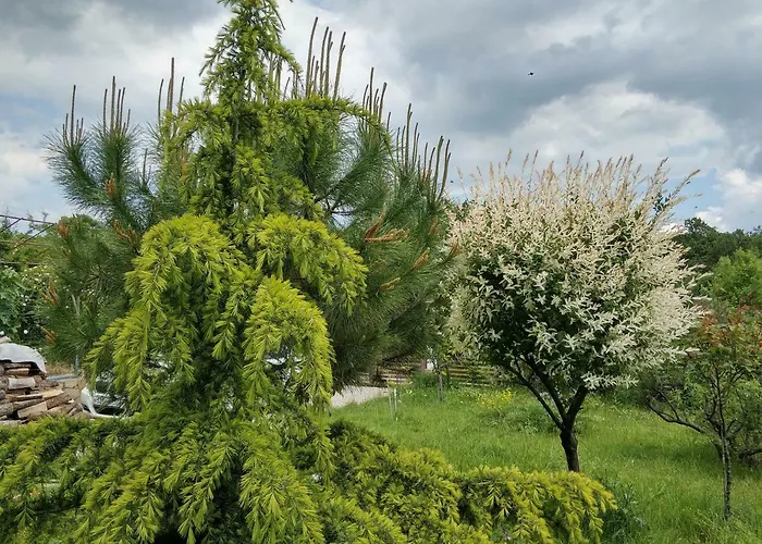 Zapovedni Rai Гостевой дом 4*