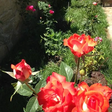 заповедни рай Приморско