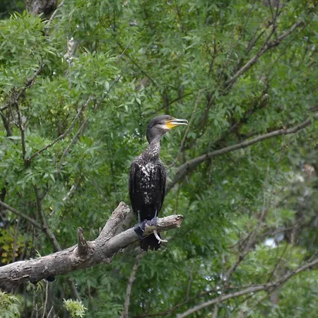 Pensiune Zapovedni Rai Primorsko