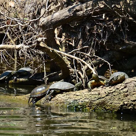 Zapovedni Rai Pensiune Primorsko