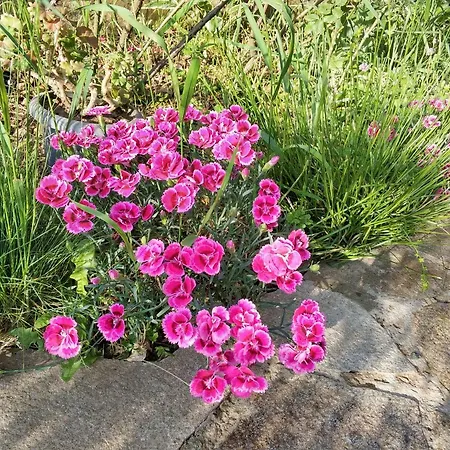 Zapovedni Rai Primorsko