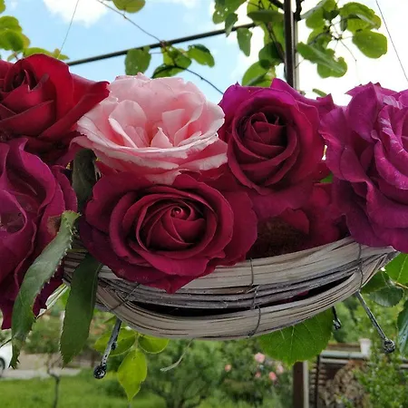 заповедни рай Къща за гости Приморско