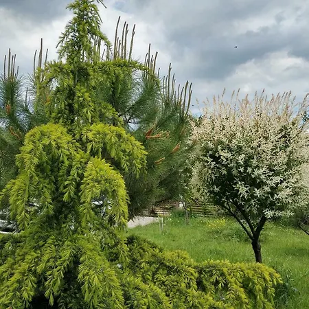 заповедни рай Къща за гости 4*