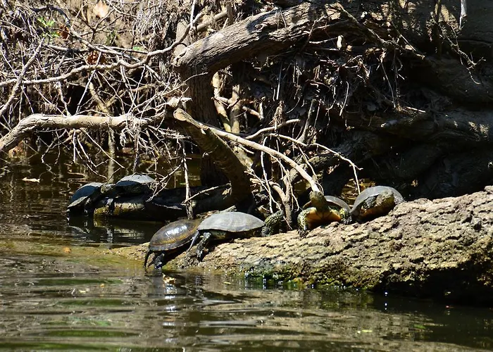 Zapovedni Rai Maison d'hôtes Primorsko