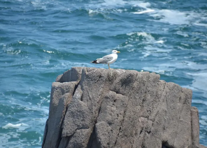 Maison d'hôtes Zapovedni Rai Primorsko