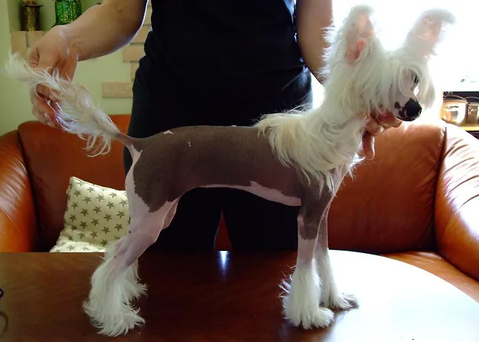 Maison d'hôtes Zapovedni Rai Primorsko