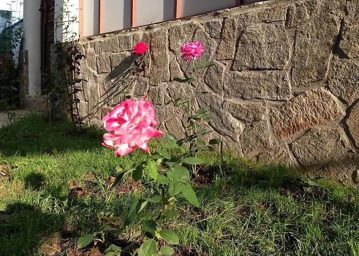 Maison d'hôtes Zapovedni Rai