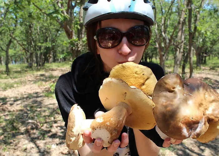 Zapovedni Rai Primorsko