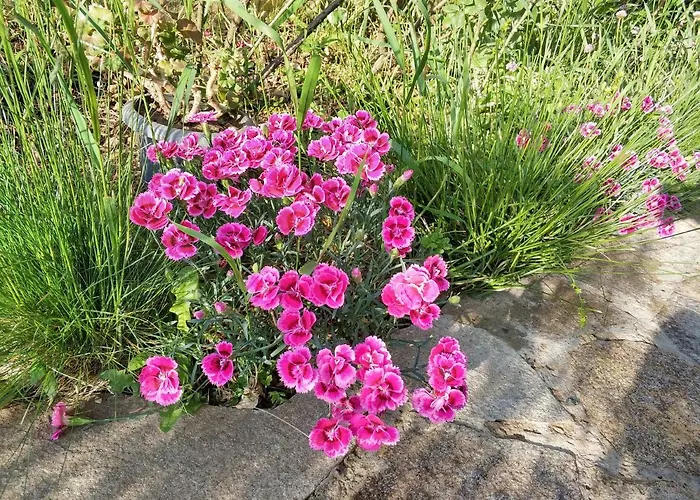 Zapovedni Rai Primorsko