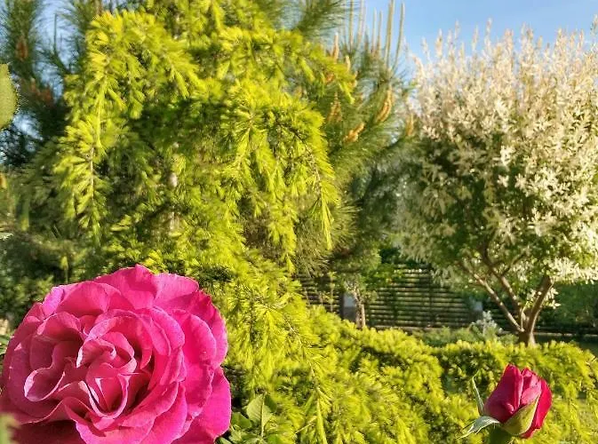 Maison d'hôtes Zapovedni Rai Primorsko