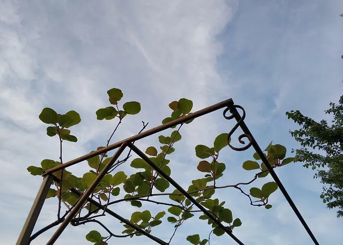 Maison d'hôtes Zapovedni Rai Primorsko